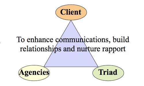 Diagram of Triad Teamwork: 